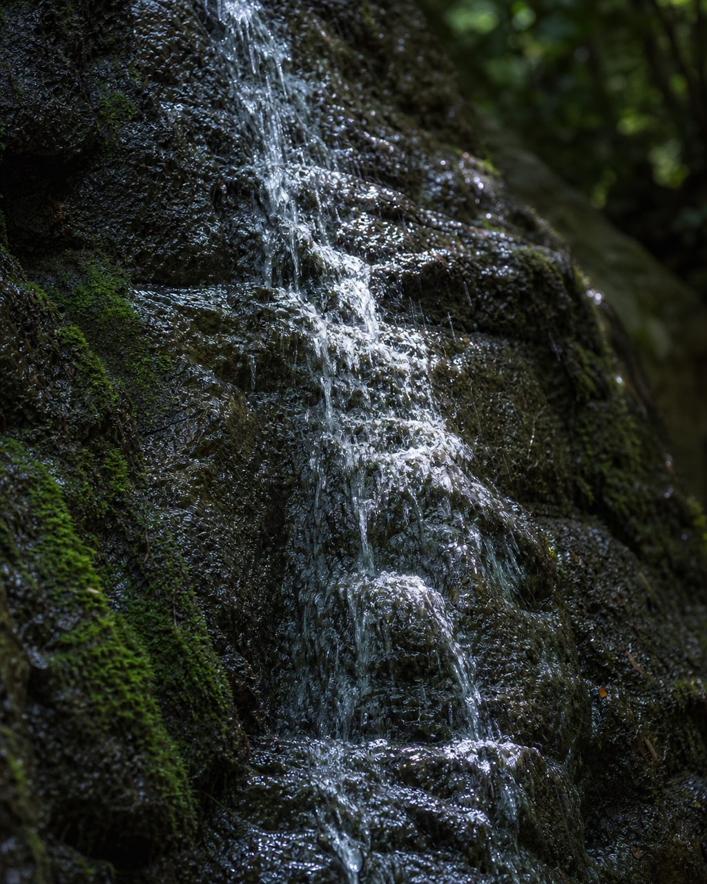 岩肌を伝い落ちる湧き水の接写
